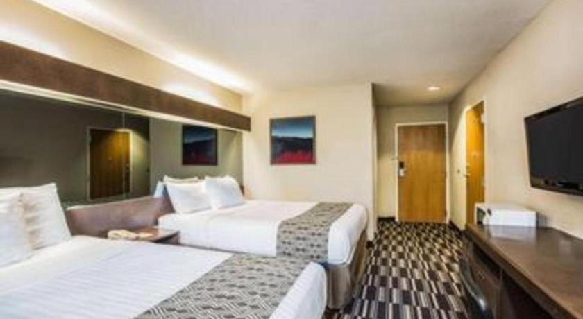 Microtel Inn & Suites By Wyndham Chattanooga/Near Hamilton P Bagian luar foto