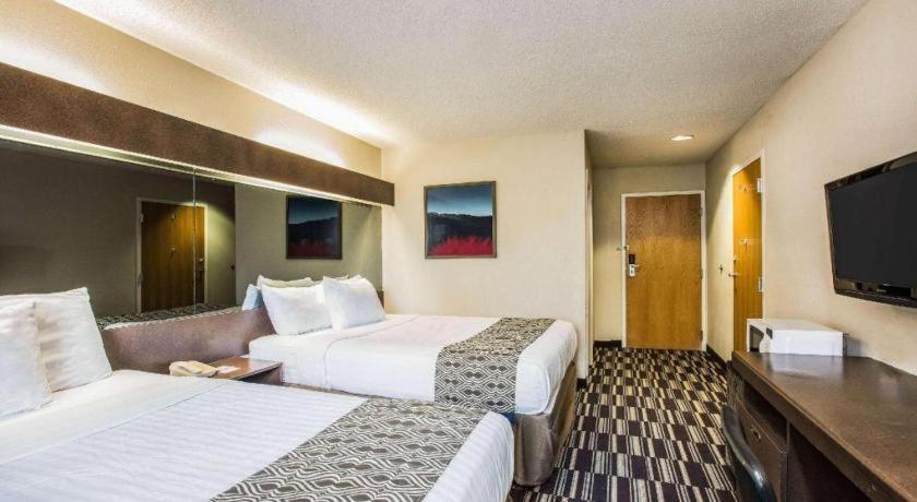 Microtel Inn & Suites By Wyndham Chattanooga/Near Hamilton P Bagian luar foto